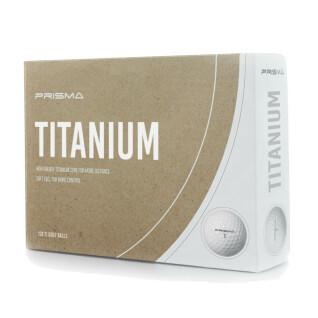 Boîte de 12 balles Prisma Titanium