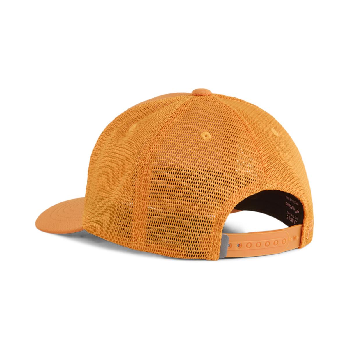 product/p/u/puma_025914-07_orange_1.jpg
