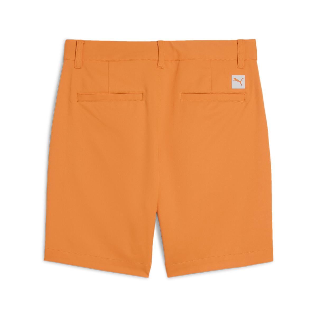 product/p/u/puma_631146-02_orange_2.jpg