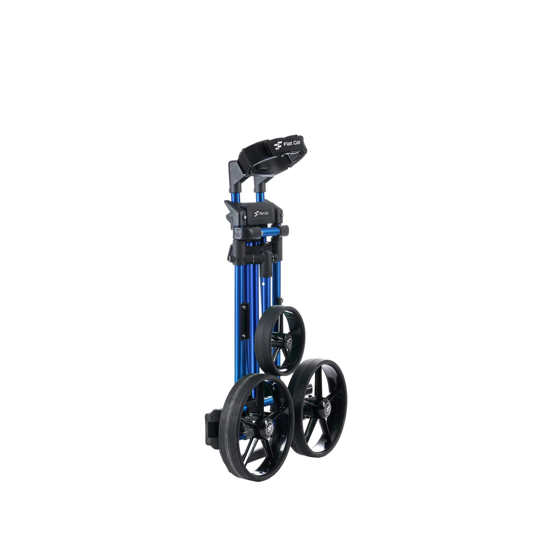 product/f/l/flat-cat_fc0027_0.jpg