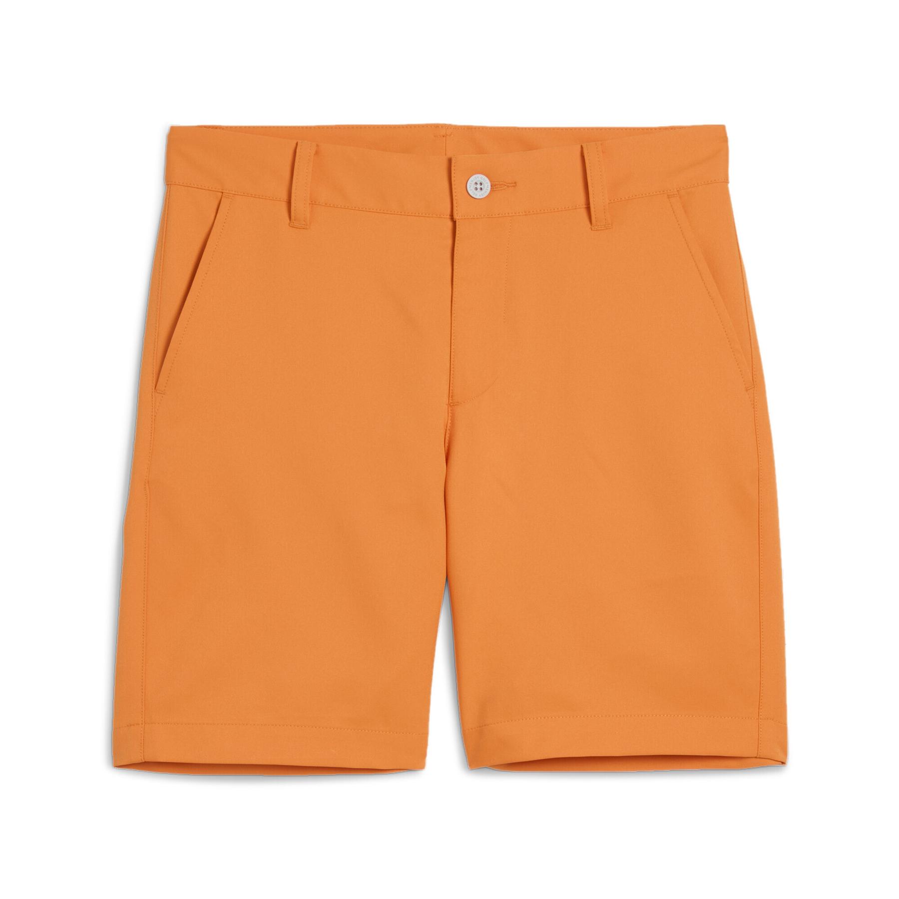 product/p/u/puma_631146-02_orange_1.jpg