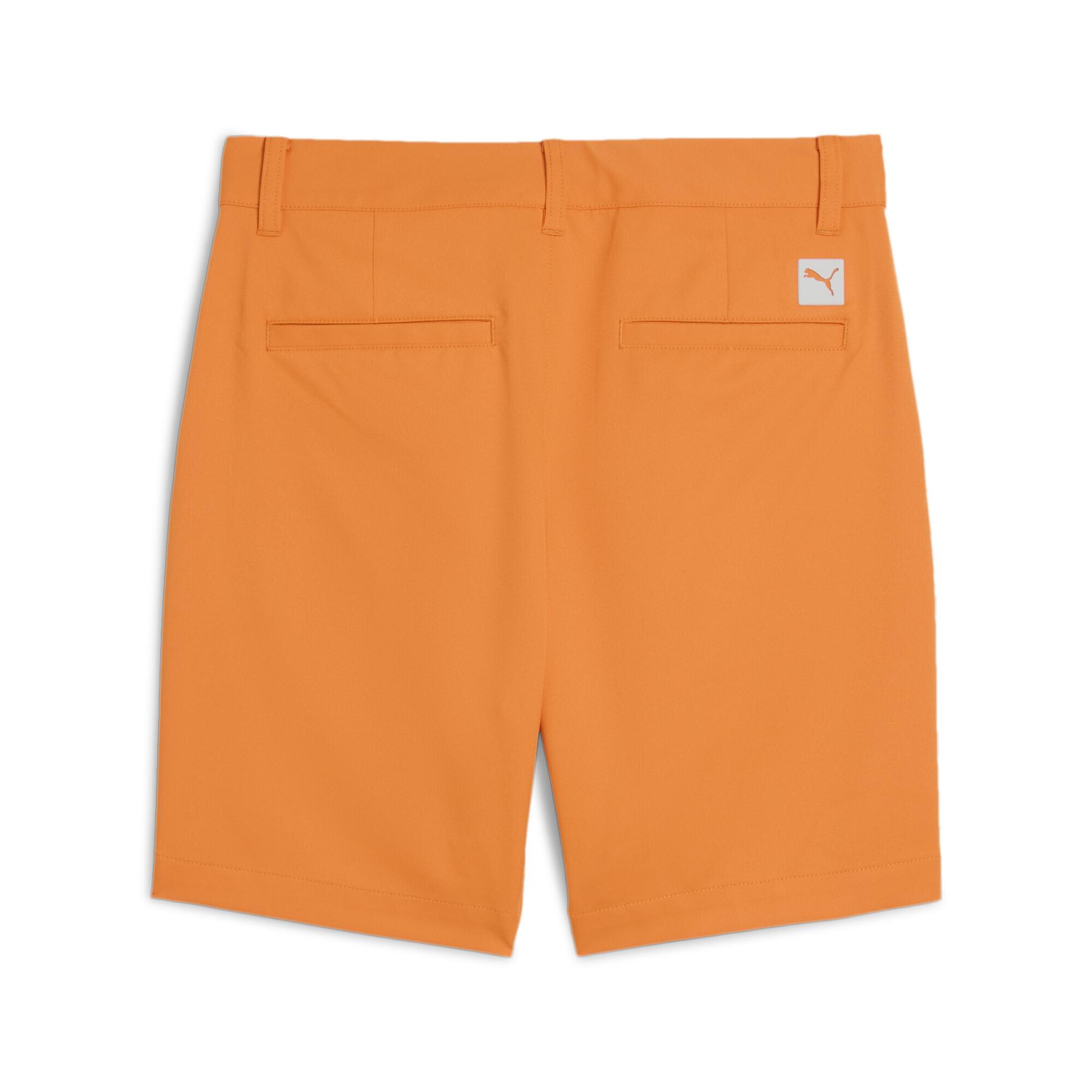 product/p/u/puma_631146-02_orange_2.jpg