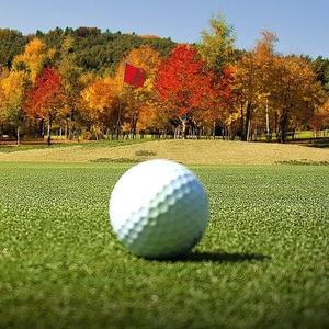 Balles de Golf
