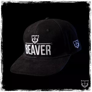 product/b/e/beaver-golf_bv-bc-24blck_black_1.jpg