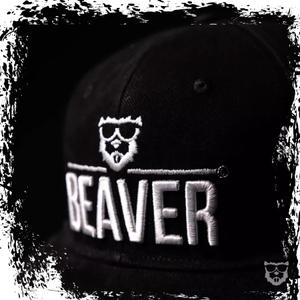 product/b/e/beaver-golf_bv-bc-24blck_black_3.jpg