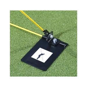 product/s/w/swing-plate_patsp_black_3.jpg